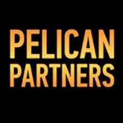 Казино Pelican Partners