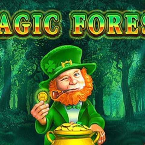 Автомат "Magical Forest": добро пожаловать в волшебный лес!