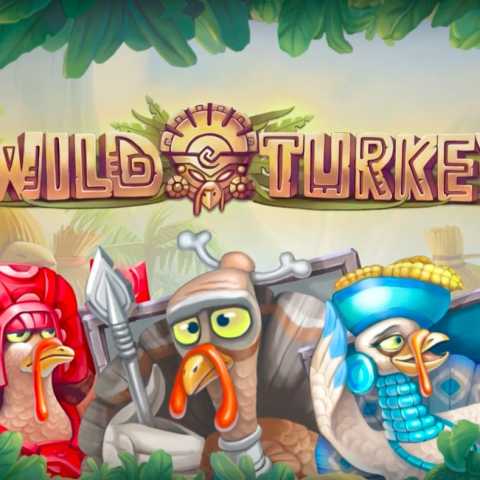 Игорный слот-автомат «Wild Turkey»