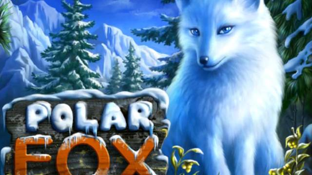 Очаровательная Polar Fox