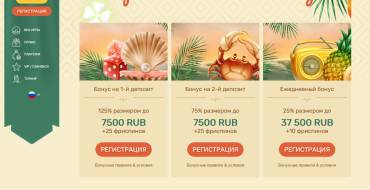 Paradise Casino: Бонусы