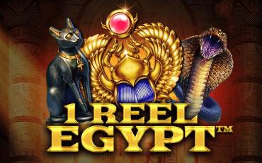 1 Reel Egypt