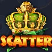 Символ Scatter в King Koko's Quest