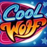 Символ Бонусный символ в Cool Wolf