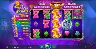 9 Mad Hats King Millions: Интерфейс