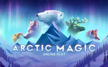 Arctic Magic