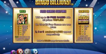 Bingo Billions!: Правила