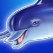 Blue Dolphin: Wild