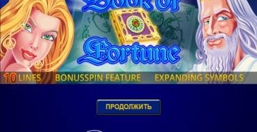 Book of Fortune: Игровой автомат