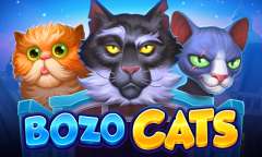 Онлайн слот Bozo Cats играть