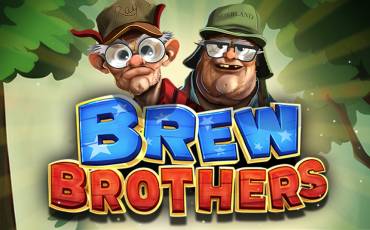 Игровой автомат Brew Brothers