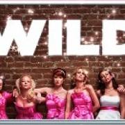 Bridesmaids: Wild