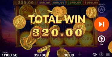 Buffalo Power: Hold and Win: Выигрыши