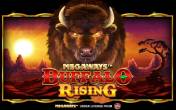 Buffalo Rising Megaways All Action (демо-версия)