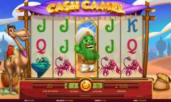 Онлайн слот Cash Camel играть