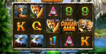 Cougar Cash: Игровой автомат