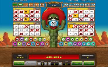 Игровой автомат Crazy Cactus Bingo