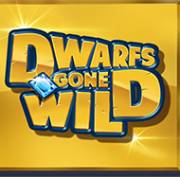 Dwarfs Gone Wild: Wild