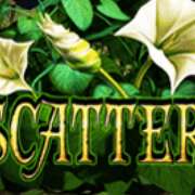 Символ Scatter в Secrets of the Amazon