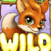 Fortunes of the Fox: Wild