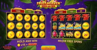 Fruit Heaven Hold And Win: Уникальные функции