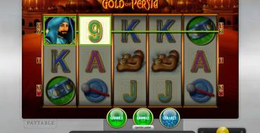 Gold of Persia: Выплаты