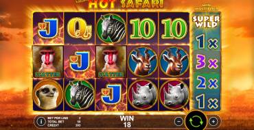 Hot Safari: Выигрыши