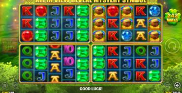 Luck O` The Irish: Mystery Ways Fortune Play: Бонусные игры