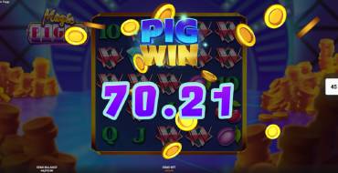 Magic Piggy: Выигрыши