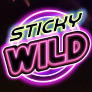 Miami Glow: Sticky Wild