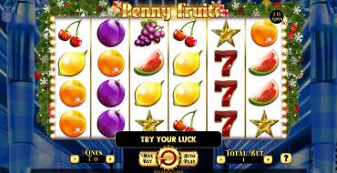 Penny Fruits Xtreme Christmas Edition: Игровой автомат