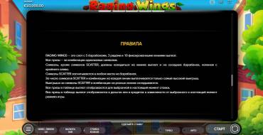 Raging Wings: Правила