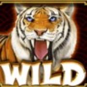 Retro Tiger: WIld