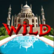 Sahara's Dreams: Wild