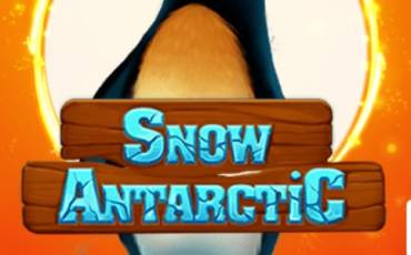 Snow Antarctic