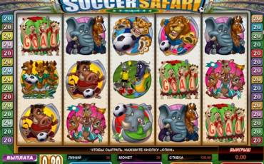 Soccer Safari