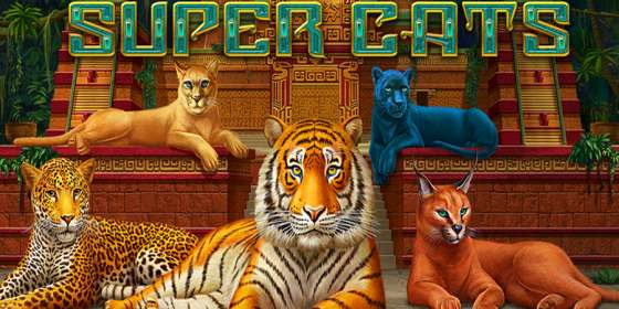 Super Cats (Amatic) обзор