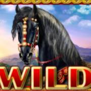 The Story of Alexander 2: Wild