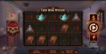 The Twin Wins Mystery: Игровой автомат