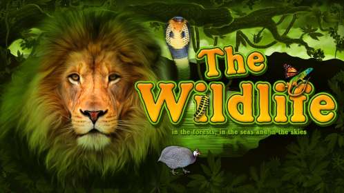 The Wildlife (Belatra) обзор