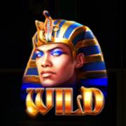 Times of Egypt Pharaoh's Reign: Wild