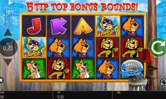 Онлайн слот Top Cat играть