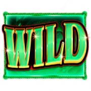 Treasure Hunter: WIld