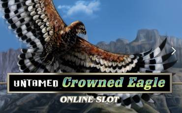 Untamed Crowned Eagle