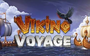 Viking Voyage