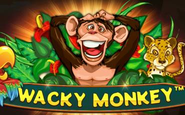 Wacky Monkey