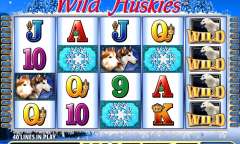 Онлайн слот Wild Huskies играть