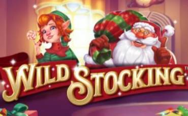 Игровой автомат Wild Stocking