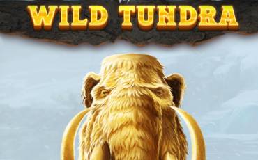 Игровой автомат Wild Tundra