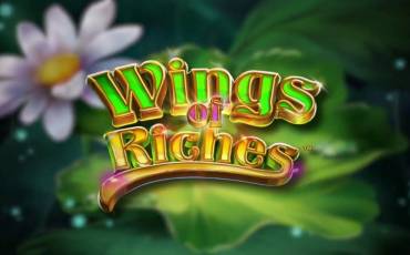 Wings of Riches